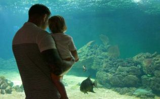 Aquarium de Vendée à Talmont Saint Hilaire